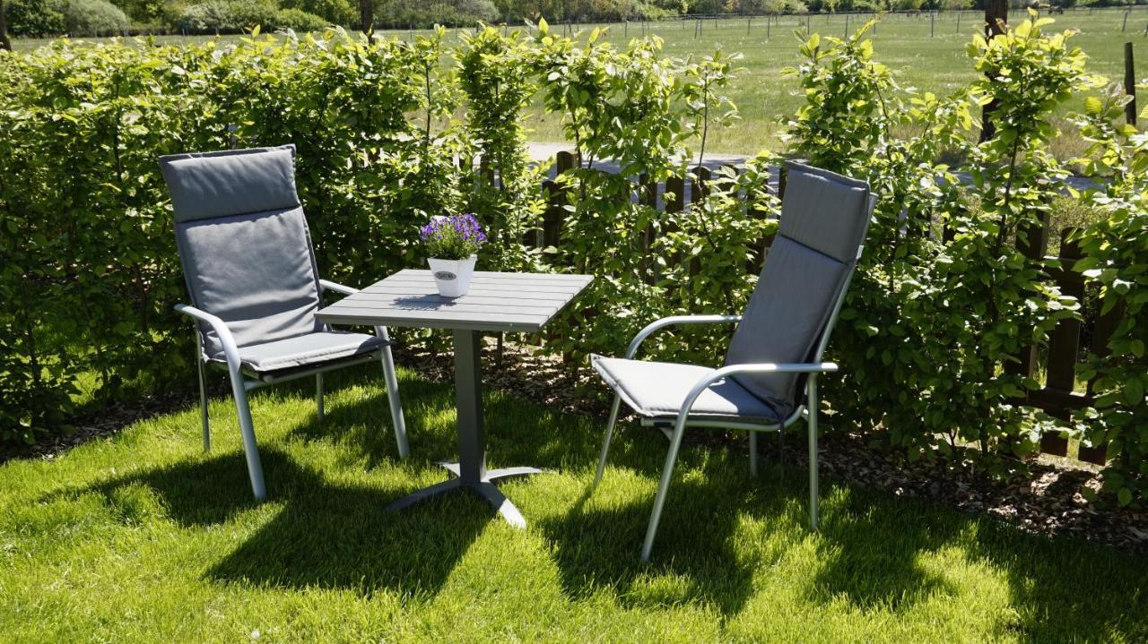 בוכהולץ אלר Ferienwohnung Wiesenblick Nahe Region Celle Und Hannover מראה חיצוני תמונה