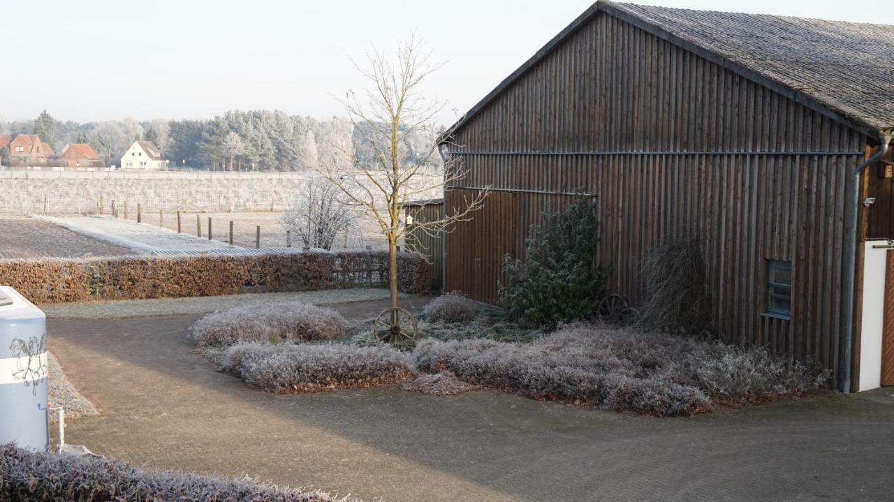 בוכהולץ אלר Ferienwohnung Wiesenblick Nahe Region Celle Und Hannover מראה חיצוני תמונה